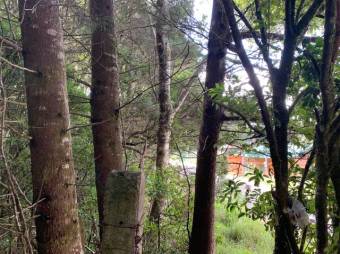 Terreno listo para construir tu casa A.L. 21-2543 Terreno listo para construir tu casa A.L. 21-2543