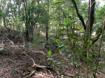 Terreno listo para construir tu casa A.L. 21-2543 Terreno listo para construir tu casa A.L. 21-2543