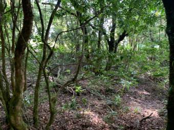 Terreno listo para construir tu casa A.L. 21-2543 Terreno listo para construir tu casa A.L. 21-2543