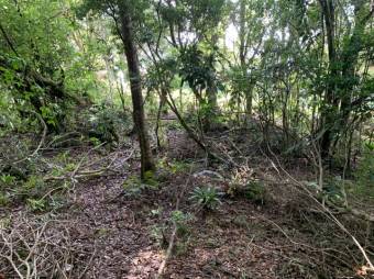 Terreno listo para construir tu casa A.L. 21-2543 Terreno listo para construir tu casa A.L. 21-2543