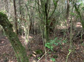 Terreno listo para construir tu casa A.L. 21-2543