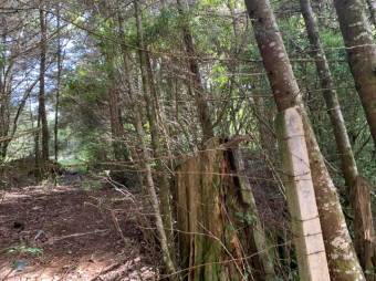 Terreno listo para construir tu casa A.L. 21-2543 Terreno listo para construir tu casa A.L. 21-2543