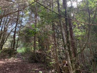 Terreno listo para construir tu casa A.L. 21-2543 Terreno listo para construir tu casa A.L. 21-2543