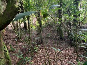 Terreno listo para construir tu casa A.L. 21-2543 Terreno listo para construir tu casa A.L. 21-2543