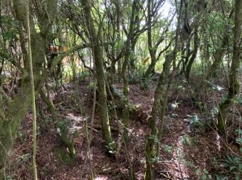 Terreno listo para construir tu casa A.L. 21-2543 Terreno listo para construir tu casa A.L. 21-2543