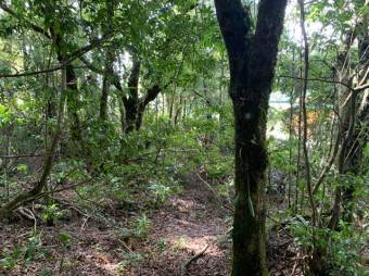 Terreno listo para construir tu casa A.L. 21-2543 Terreno listo para construir tu casa A.L. 21-2543