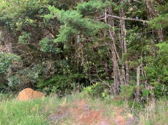 Terreno listo para construir tu casa A.L. 21-2543 Terreno listo para construir tu casa A.L. 21-2543