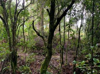 Terreno listo para construir tu casa A.L. 21-2543 Terreno listo para construir tu casa A.L. 21-2543