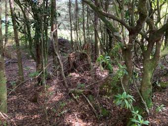 Terreno listo para construir tu casa A.L. 21-2543 Terreno listo para construir tu casa A.L. 21-2543