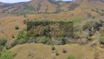 V#252 Amplia Finca en Venta/Hojancha-Guanacaste