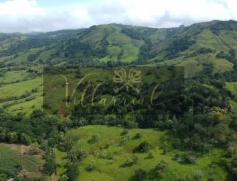 V#252 Amplia Finca en Venta/Hojancha-Guanacaste