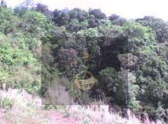 V#246 Espectacular Finca en Venta/Hojancha-Guanacaste