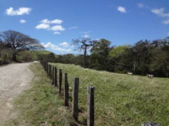 V#210 Maravillosa Finca en Venta/Guanacaste