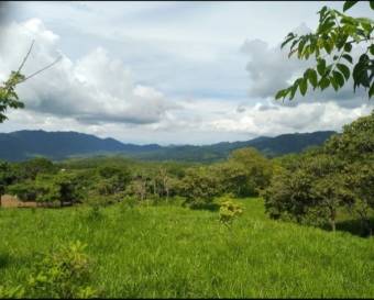 V#202 Bella Finca en Venta/Guanacaste