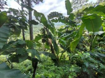 Hermosa propiedad a la venta A.L. 22-331 Hermosa propiedad a la venta A.L. 22-331