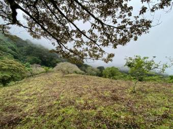 Hermoso terreno dentro de residencial A.L. 22-302