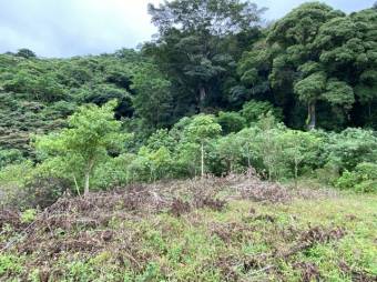 Hermoso terreno dentro de residencial A.L. 22-302 Hermoso terreno dentro de residencial A.L. 22-302