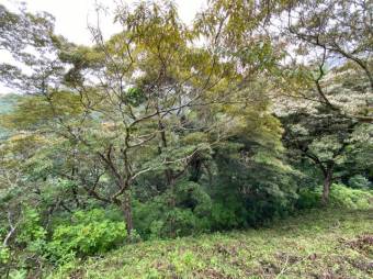 Hermoso terreno dentro de residencial A.L. 22-302 Hermoso terreno dentro de residencial A.L. 22-302