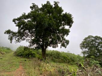 Hermoso terreno dentro de residencial A.L. 22-302 Hermoso terreno dentro de residencial A.L. 22-302