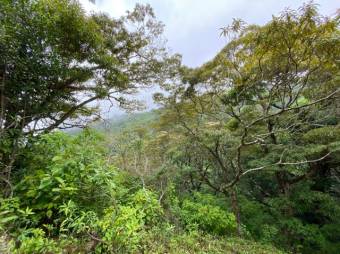 Hermoso terreno dentro de residencial A.L. 22-302 Hermoso terreno dentro de residencial A.L. 22-302