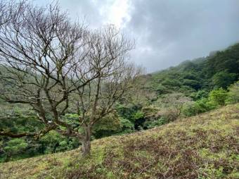 Hermoso terreno dentro de residencial A.L. 22-302 Hermoso terreno dentro de residencial A.L. 22-302