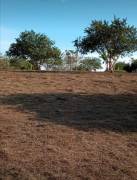 Se vende propiedad en Las Delicias, Cobano, Puntarenas. ₡18.000 o $30 el metro cuadrado 