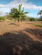 Se vende propiedad en Las Delicias, Cobano, Puntarenas. ₡18.000 o $30 el metro cuadrado 