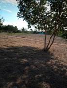 Se vende propiedad en Las Delicias, Cobano, Puntarenas. ₡18.000 o $30 el metro cuadrado 