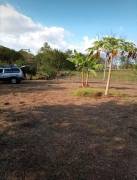 Se vende propiedad en Las Delicias, Cobano, Puntarenas. ₡18.000 o $30 el metro cuadrado 