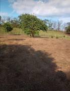 Se vende propiedad en Las Delicias, Cobano, Puntarenas. ₡18.000 o $30 el metro cuadrado 