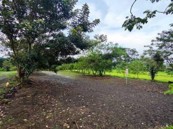 MLS-23-389 VENTA LOTE GRECIA ALAJUELA