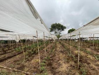 Se vende terreno Pavas Carrizal Alajuela para desarrollar