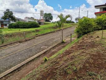 Lote en Venta en Palmares, Alajuela. RAH 23-503