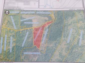Large land in Orotina de Alajuela for developers!
