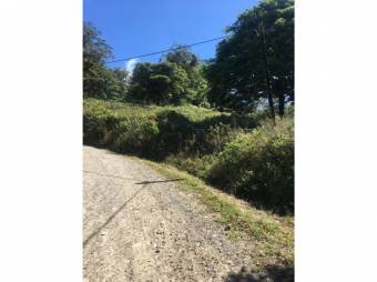 VENTA DE LOTE, GUANACASTE, ABANGARES, MONTEVERDE