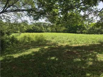 VENTA DE LOTES, GUANACASTE, NICOYA, BARRA HONDA