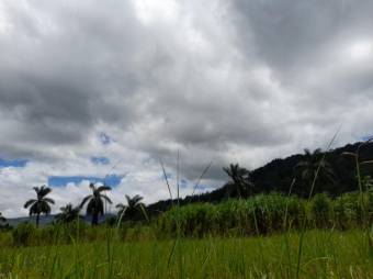 Se vende amplia finca con 208,301m2 de lote en Turrialba de Cartago 23-1497