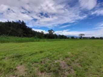 Se vende amplia finca con 208,301m2 de lote en Turrialba de Cartago 23-1497