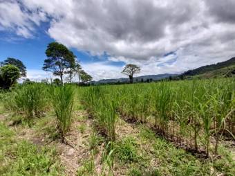 Se vende amplia finca con 208,301m2 de lote en Turrialba de Cartago 23-1497