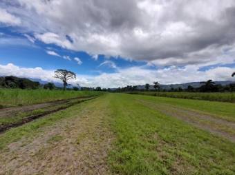 Se vende amplia finca con 208,301m2 de lote en Turrialba de Cartago 23-1497