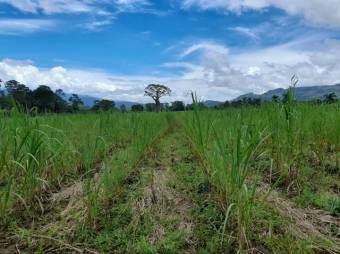 Se vende amplia finca con 208,301m2 de lote en Turrialba de Cartago 23-1497