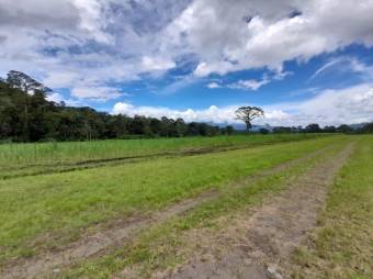 Se vende amplia finca con 208,301m2 de lote en Turrialba de Cartago 23-1497