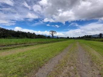 Se vende amplia finca con 208,301m2 de lote en Turrialba de Cartago 23-1497