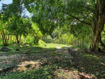 Se vende amplia finca con 67,940m2 en Orotina de Alajuela 23-1324