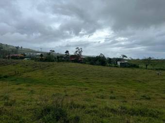 Venta de Lote en San Carlos, Alajuela. RAH 24-1492