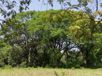 Venta de Lote en Nicoya, Guanacaste, RAH 23-2211