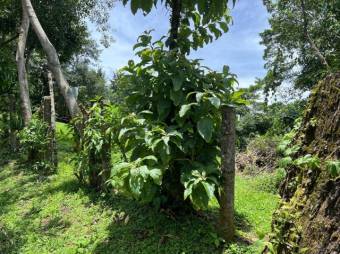 Venta de Lote en Santa Bárbara, Heredia. RAH 25-258