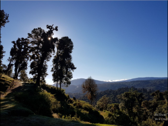 VENTA DE FINCA EN EL GUARCO DE CARTAGO