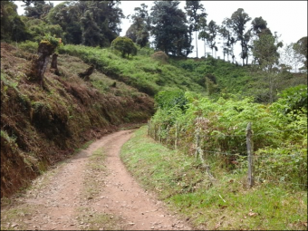 VENTA DE FINCA EN EL GUARCO DE CARTAGO