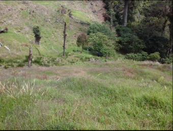 VENTA DE FINCA EN EL GUARCO DE CARTAGO